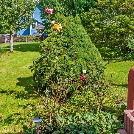 Charming Attic Retreat, Cleaning Included Apartment *